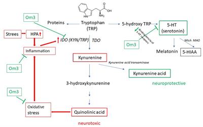 The kynurenine and serotonin pathway, neopterin and biopterin in depressed children and adolescents: an impact of omega-3 fatty acids, and association with markers related to depressive disorder. A randomized, blinded, prospective study